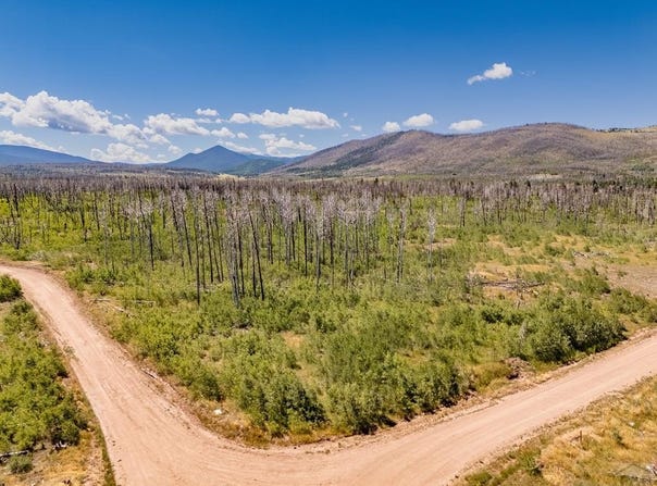 1377 Kinzel Ln, Fort Garland, CO 81133
