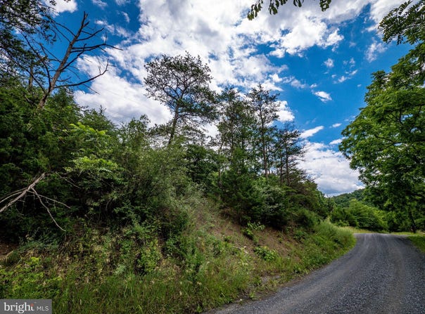 Lot 10 STAR TANNERY ROAD, STAR TANNERY, VA 22654