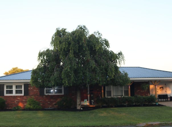 319 Kennedy Heights, Carlisle, KY 40311
