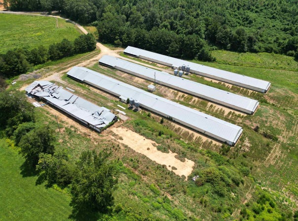 703 Co Rd 435, Hamilton, AL 35570