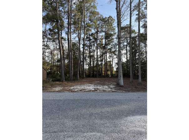 449 Byrnes Circle, Johnsonville, SC 29555