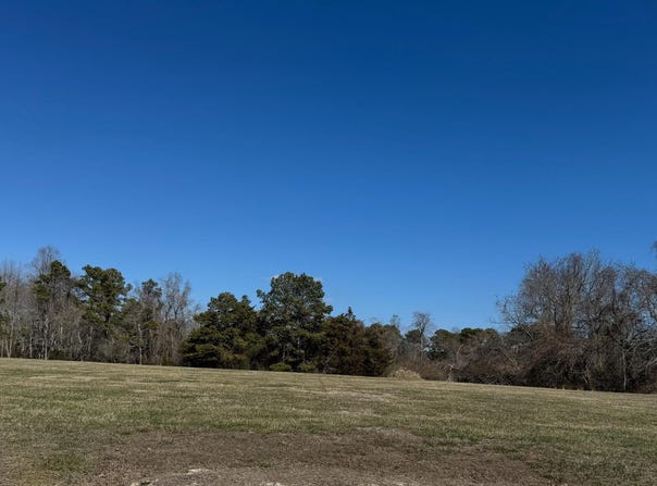 Lot 15 DAVEY JONES BOULEVARD, GREENBACKVILLE, VA 23356