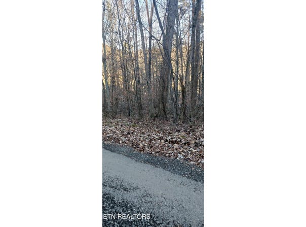 Braden Chapel Rd, Speedwell, TN 37870