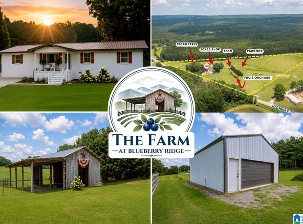 5743 COUNTY HIGHWAY 27, SPRINGVILLE, AL 35146