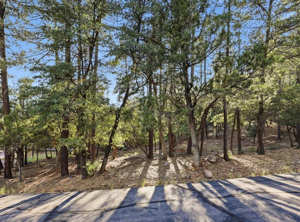 98 Trails End Drive lot: 98, Pine, AZ 85544