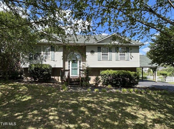 115 Butterfly Court, Limestone, TN 37681