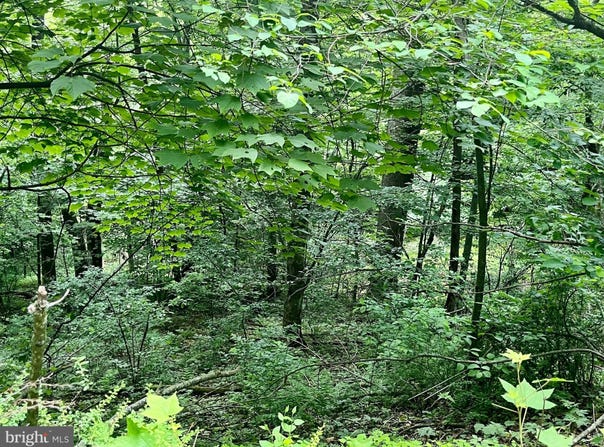GREENWAY LANE, LURAY, VA 22835