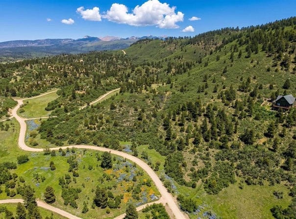 Road 46, Mancos, CO 81328