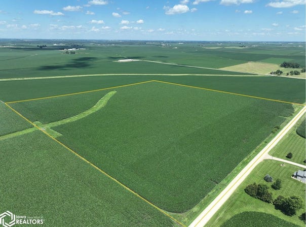 295th, Manchester, IA 52057