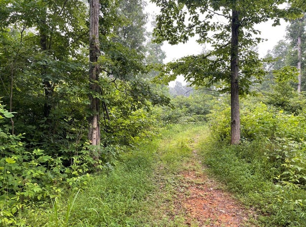 000 Dunn Bridge Rd, Heltonville, IN 47436