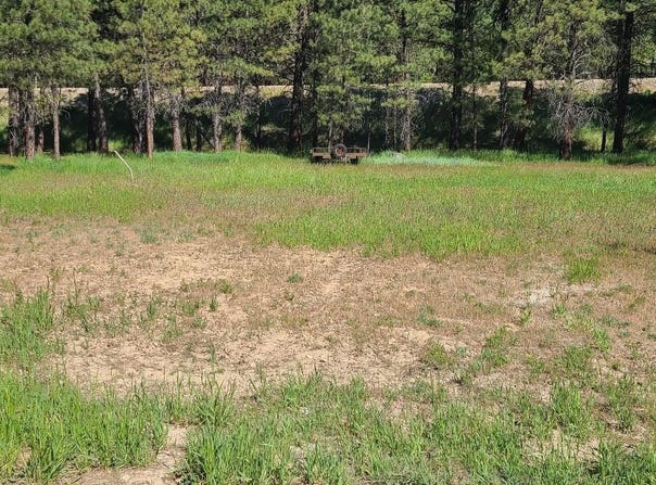 Scenic View Dr., Lowman, ID 83637-0000