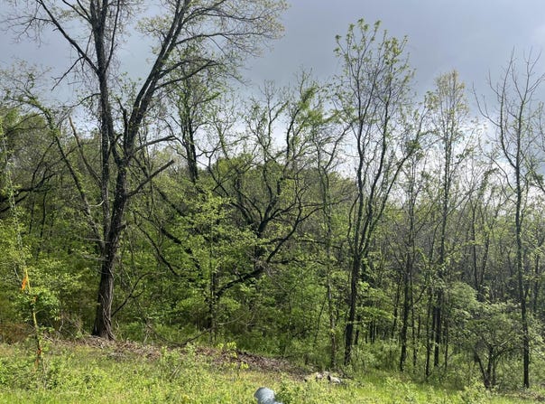 000 Lot 169 Panorama Drive, Cape Fair, MO 65624