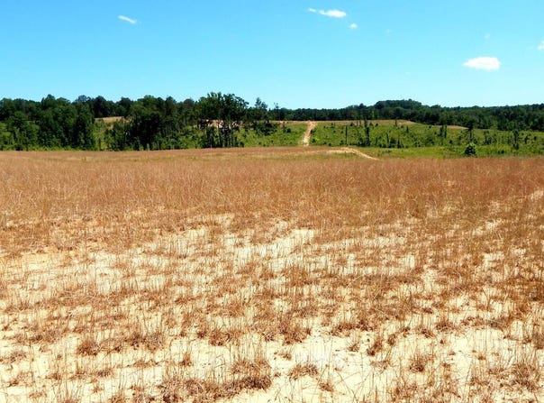 210 Hugh White State Park Road, Grenada, MS 38901