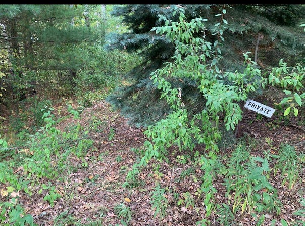 E ROSSEL LAKE ROAD, WALKERVILLE, MI 49459