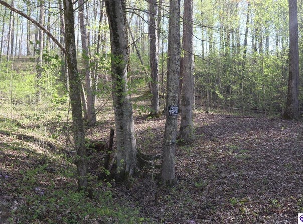 3 Oakmont Bay Drive, Bee Spring, KY 42207