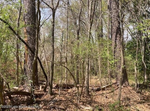 8 Lots Maplewood Ln Ext, Alexander City, AL 35010