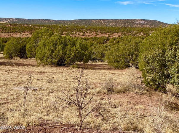Tbd Co Rd 8269 Lot 151, Concho, AZ 85924