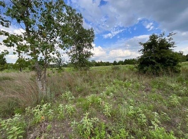 Tbd County Rd., Lot 20-C RD, Bastrop, TX 78602