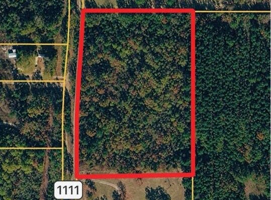 CR 1111, Atlanta, TX 75551