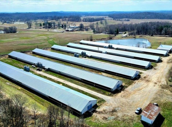 7540 Highway 136, Calhoun, KY 42327