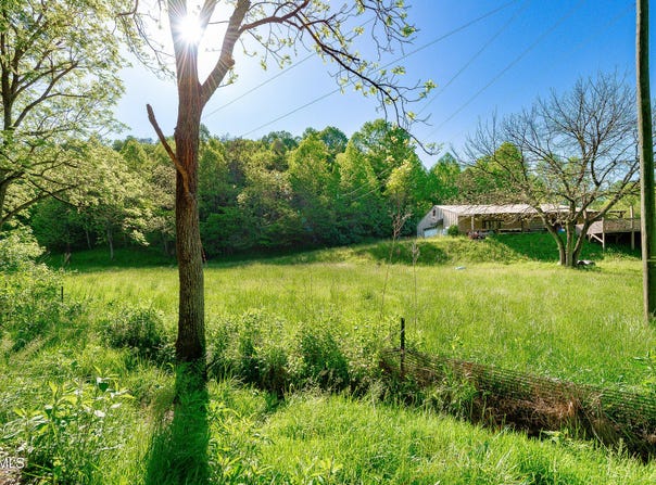 1668 Fowlers Br Road, Hiltons, VA 24258