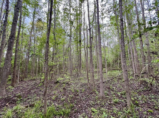 0 County Road 6, Sweet Water, AL 36782