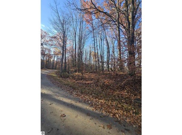 Lucerne Drive lot: #263, Reed City, MI 49677