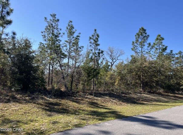 Lot 17 Shelby Court, Chipley, FL 32428