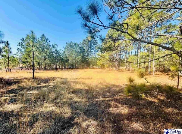 Coastal Lane, Hartsville, SC 29550