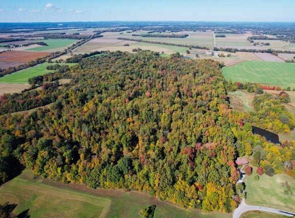 001 Olmsted Rd, Villa Ridge, IL 62996