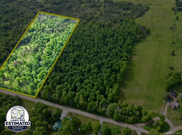 River J.5 Parcel A Lane, Cornell, MI 49818