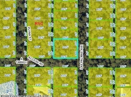 Las Palmas Avenue, Spring Hill, FL 34606