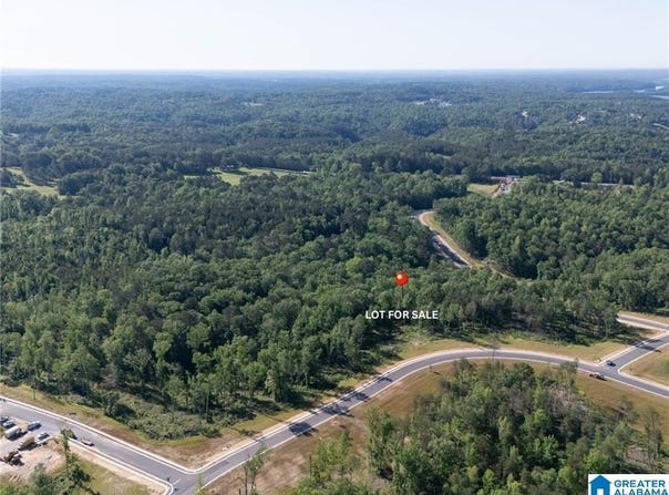 10 LAKE ISLAND ROAD, TUSCALOOSA, AL 35406