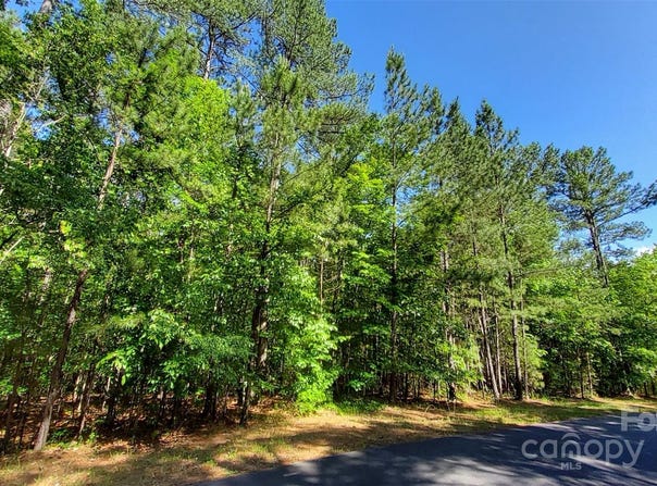 Loblolly Lane unit: 22, Mill Spring, NC 28756
