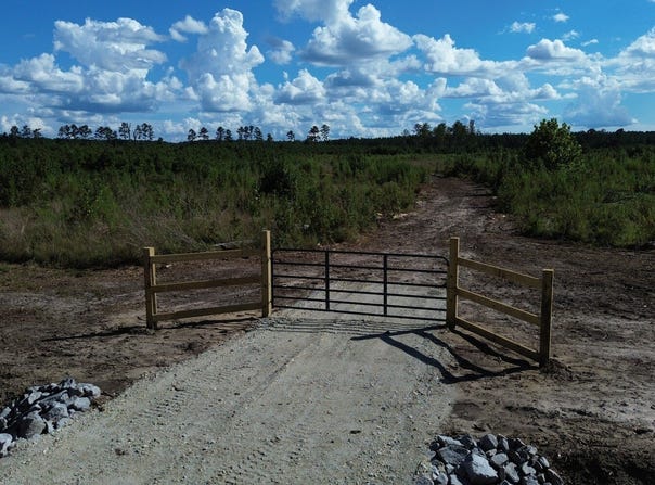 Bethel Forest Road, Tract 3, Orangeburg, SC 29133