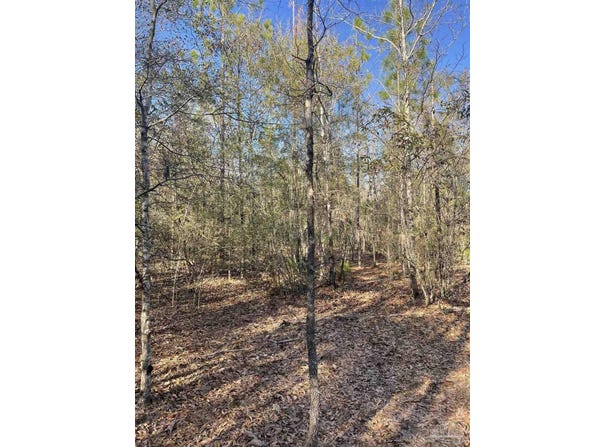 0000 Walling Rd, Milton, FL 32570