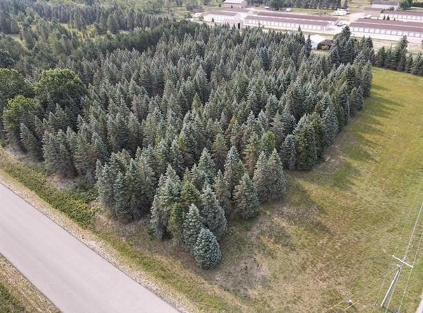 PARCEL B DANBURY ROAD, PARADISE TWP, MI 49649