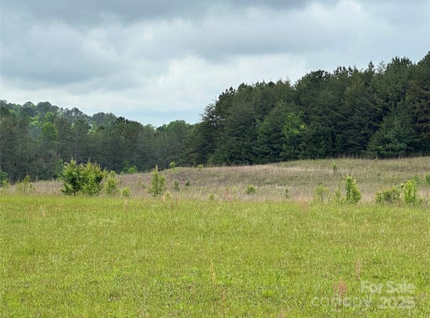 Thompson Road, Rutherfordton, NC 28139