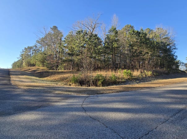 10b SAVANNAH BAY DR., Lincolnton, GA 30817