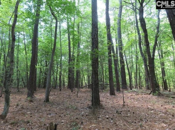0 Park Road, Ridgeway, SC 29130