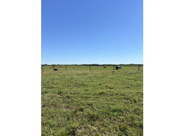 1162 Sparks Road, Gallion, AL 36742