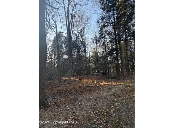 1 Cobblewood Road, Newfoundland, PA 18445