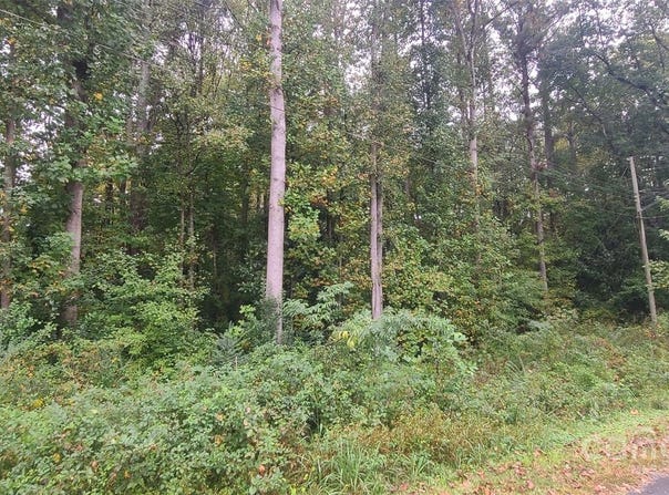 Wildwood Lane, Troy, NC 27371