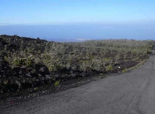 PALM PKWY, Ocean View, HI 96737