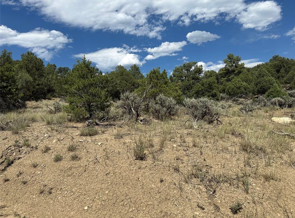 Lot 34 Unit 4 Talavera SD, Tierra Amarilla, NM 87575