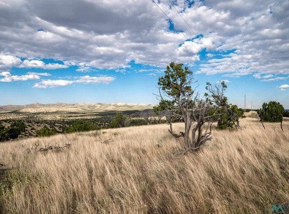123 Ridge View Road, Magdalena, NM 87825