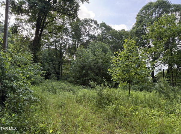 353 Clarence Potter Road, Mountain City, TN 37683