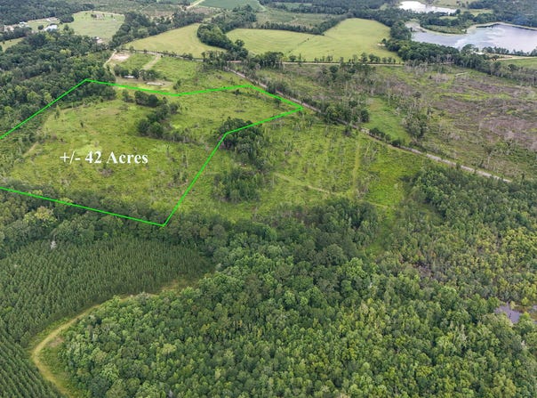 0 Bush Road, Graceville, FL 32440