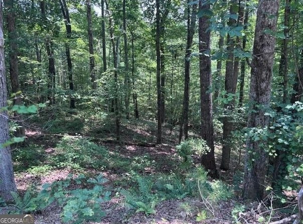 10090 Brazell, Chattahoochee Hills, GA 30213