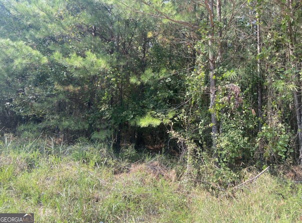 0 Saggus, Crawfordville, GA 30631